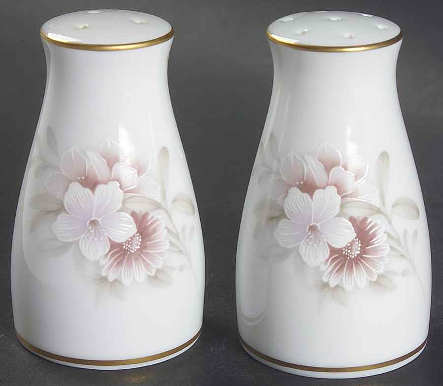 Shrewsbury Salt & Pepper Set by Noritake-1