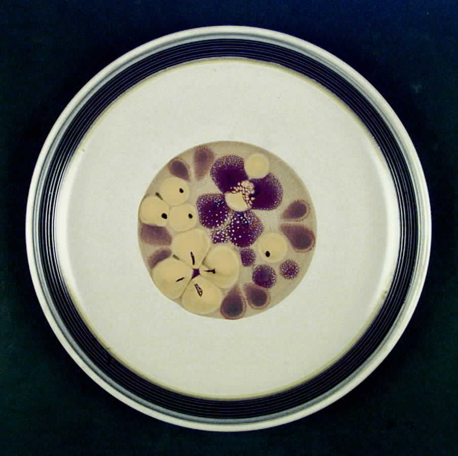 Silk Road Dinner Plate by Noritake-1