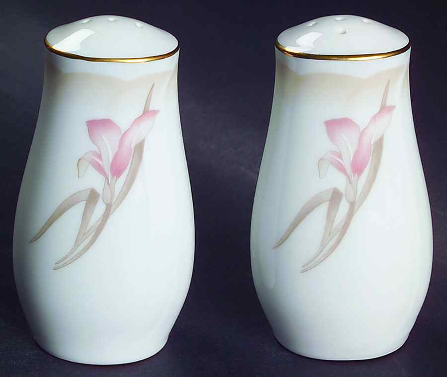 Sonata Salt & Pepper Set by Noritake-1