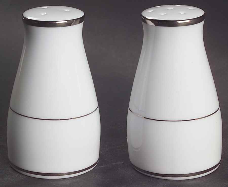 Spectrum (Platinum Rings) Salt & Pepper Set by Noritake-1