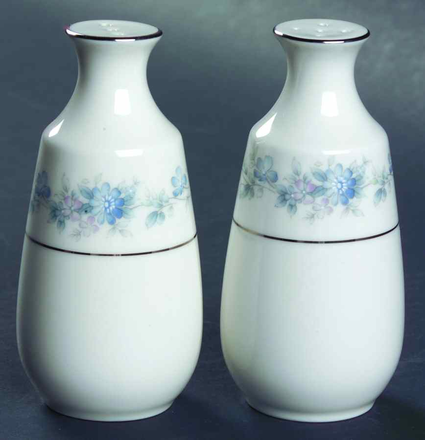 Splendor Salt & Pepper Set by Noritake-1