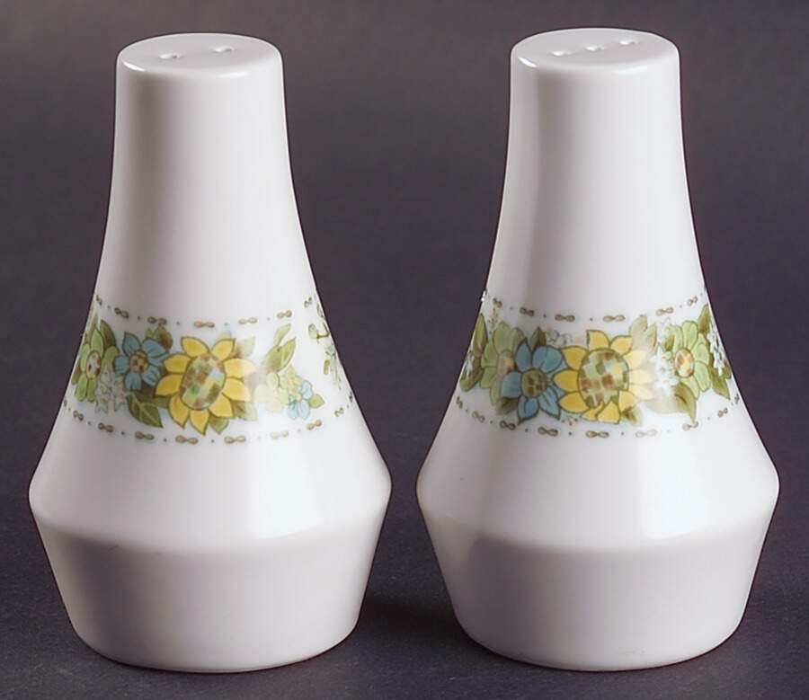 Springfield Salt & Pepper Set by Noritake-1