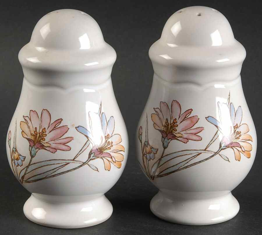 Springlike Salt & Pepper Set by Noritake-1