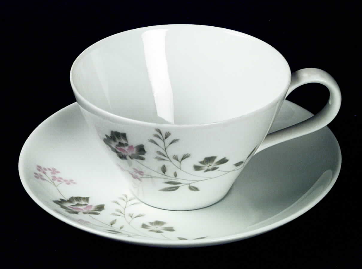 Springdale Flat Cup & Saucer Set by Noritake-1