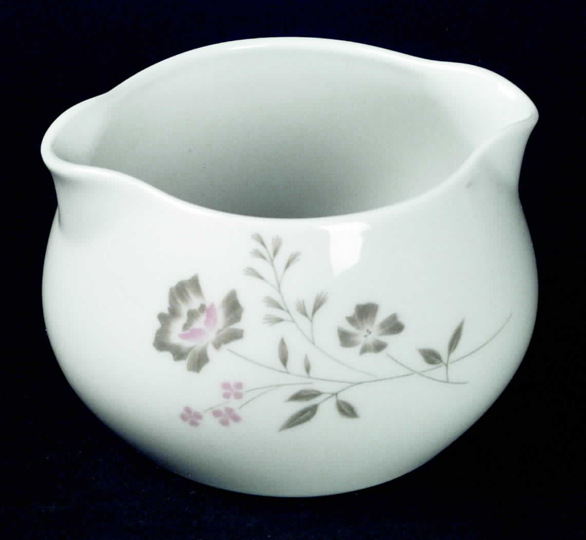 Springdale Gravy Boat by Noritake-1