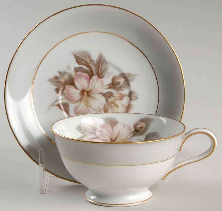 Stanwood Footed Cup & Saucer Set by Noritake-1