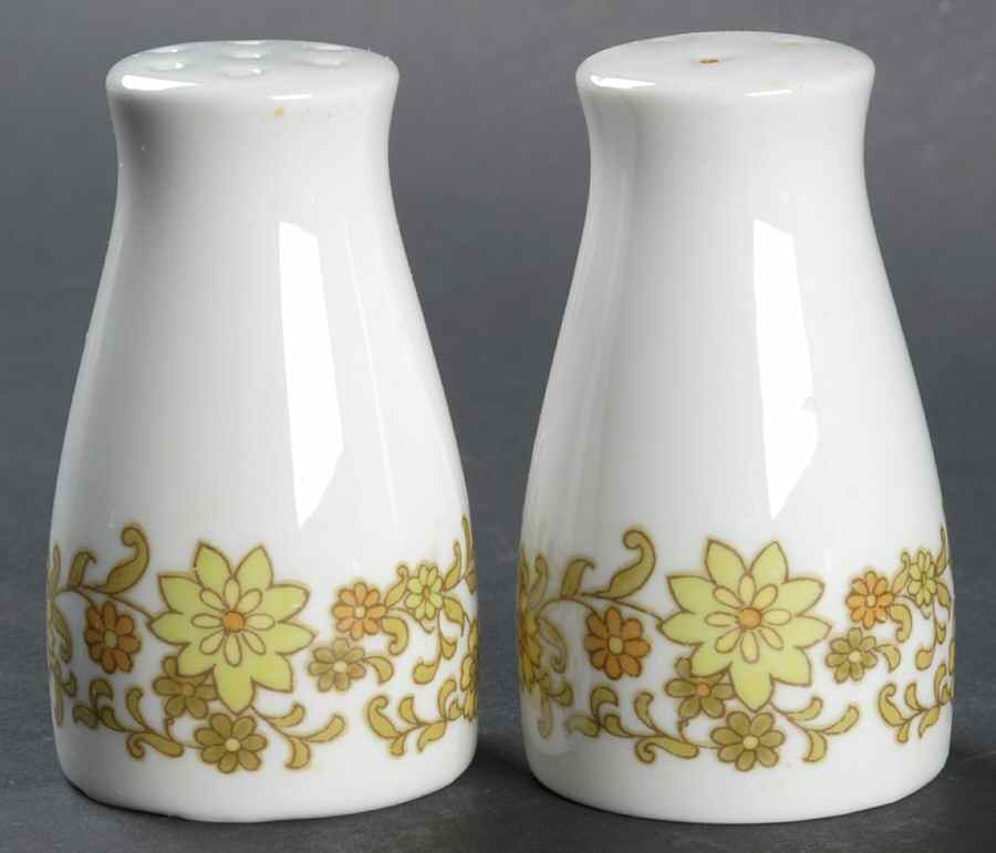 Summerville Salt & Pepper Set by Noritake-1