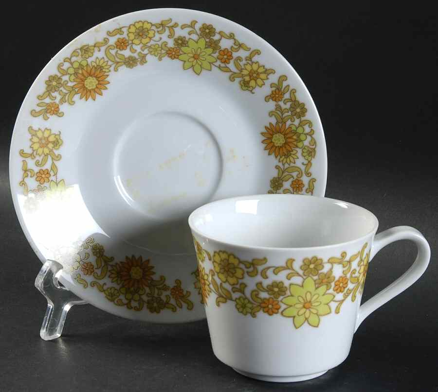 Summerville Flat Cup & Saucer Set by Noritake-1