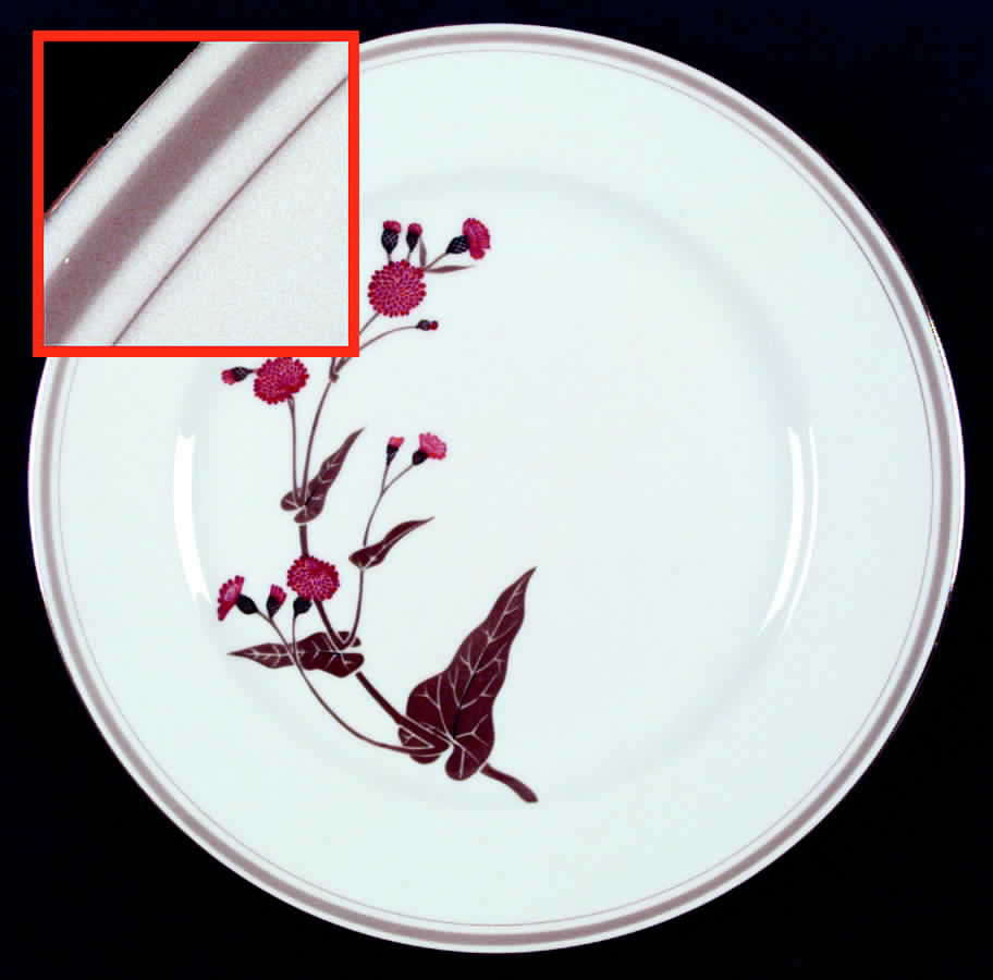 Tamara Dinner Plate by Noritake-1