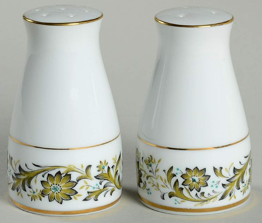 Tarantella Salt & Pepper Set by Noritake-1