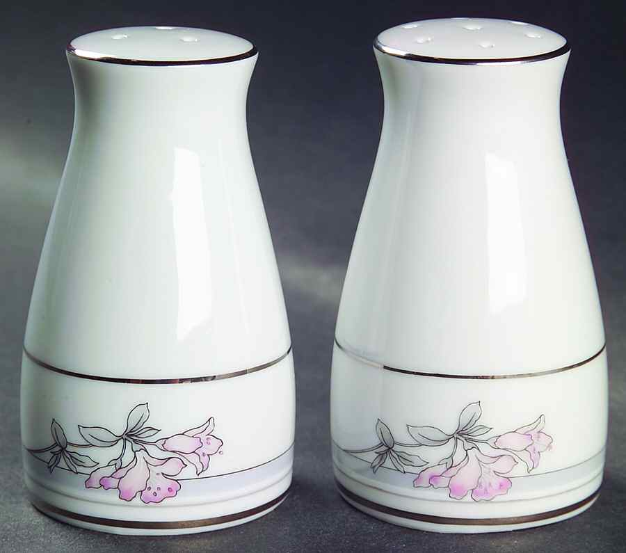 Tarkington Salt & Pepper Set by Noritake-1
