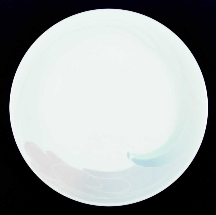 Tidal Song Dinner Plate by Noritake-1