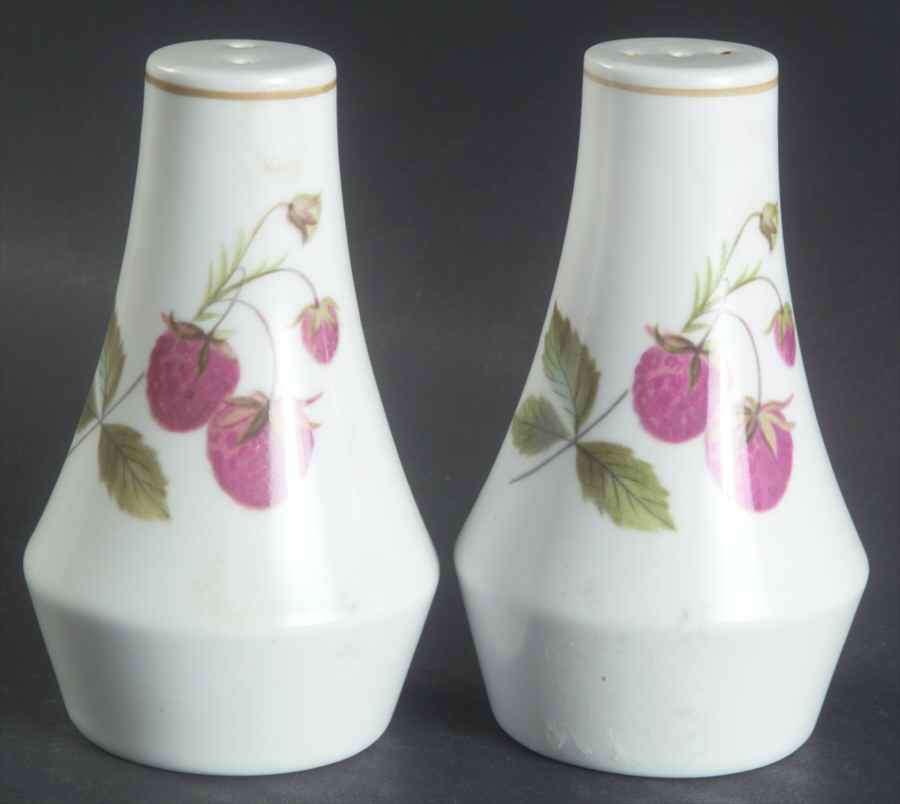 Tropica Salt & Pepper Set by Noritake-1