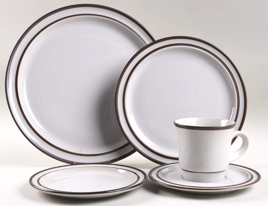 Tundra 5 Piece Place Setting by Noritake-1