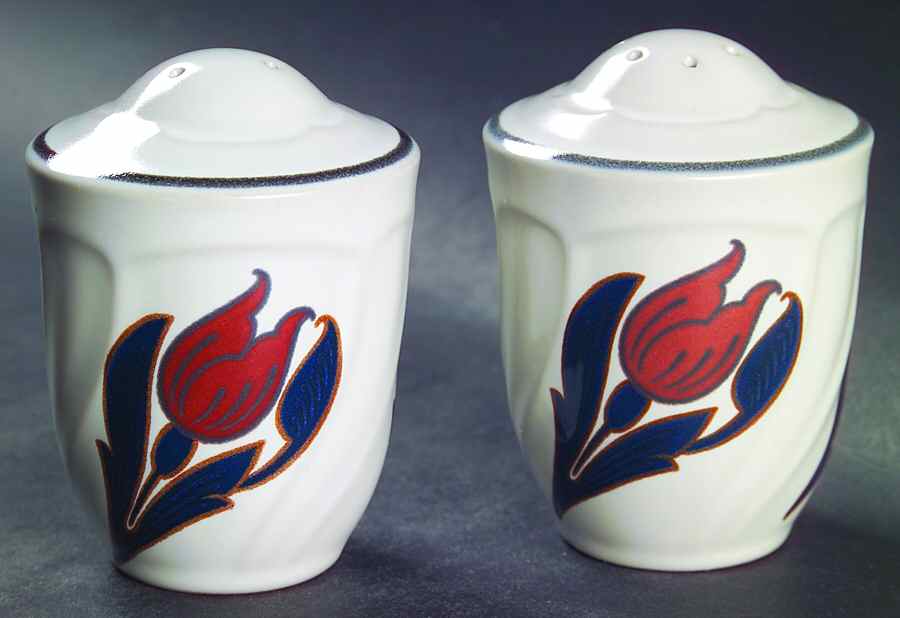 Tulip Ridge Salt & Pepper Set by Noritake-1