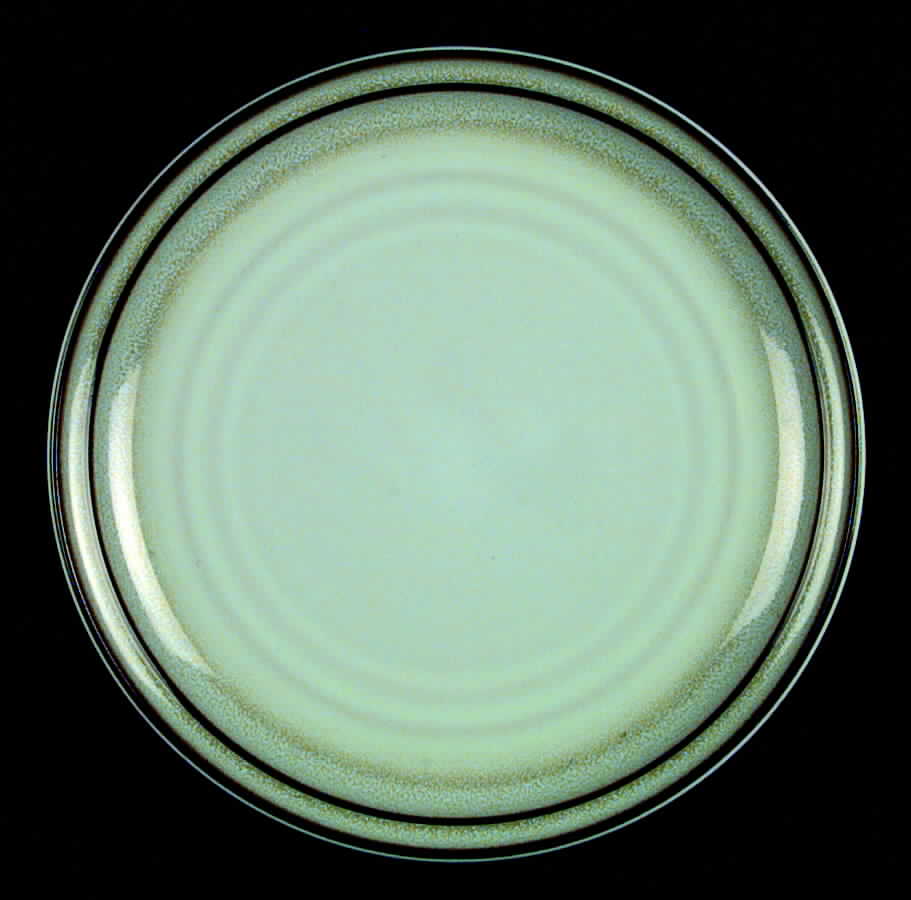 Watercress Dinner Plate by Noritake-1