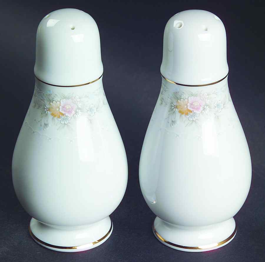 Waynesboro Salt & Pepper Set by Noritake-1