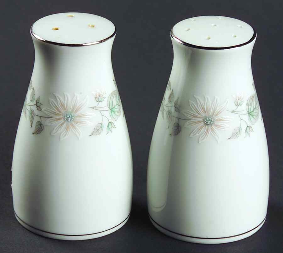 Wellesley Salt & Pepper Set by Noritake-1