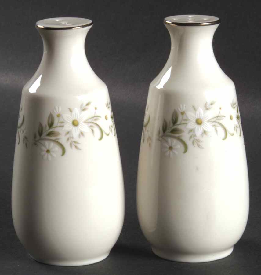 Weston Salt & Pepper Set by Noritake-1