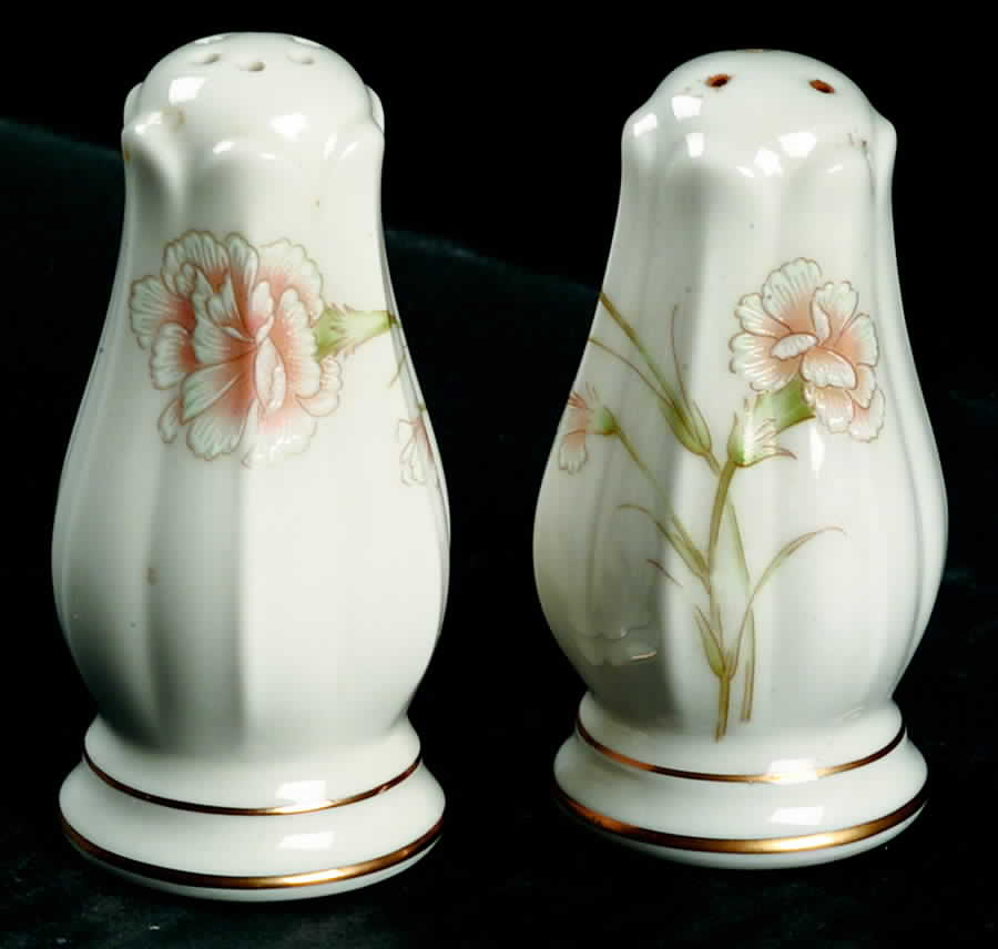 Weyburne Salt & Pepper Set by Noritake-1