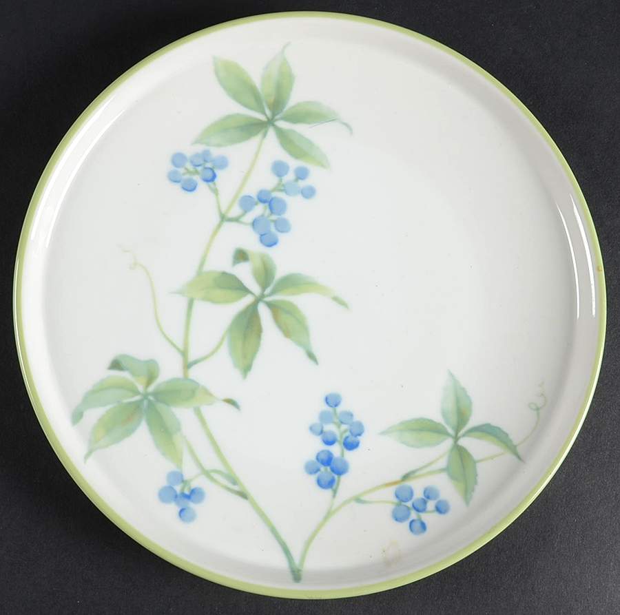Whisper Salad Plate by Noritake-1