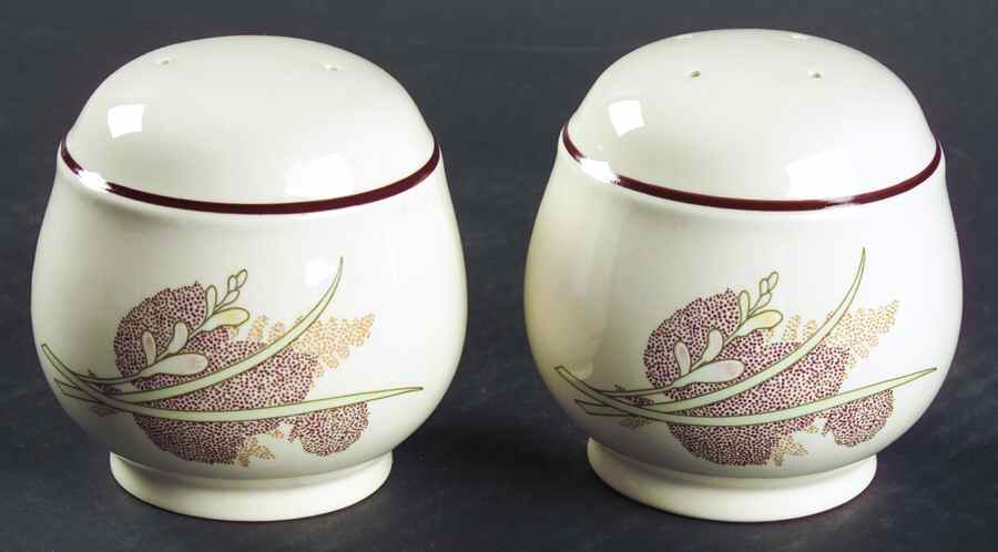 Wicklow Salt & Pepper Set by Noritake-1