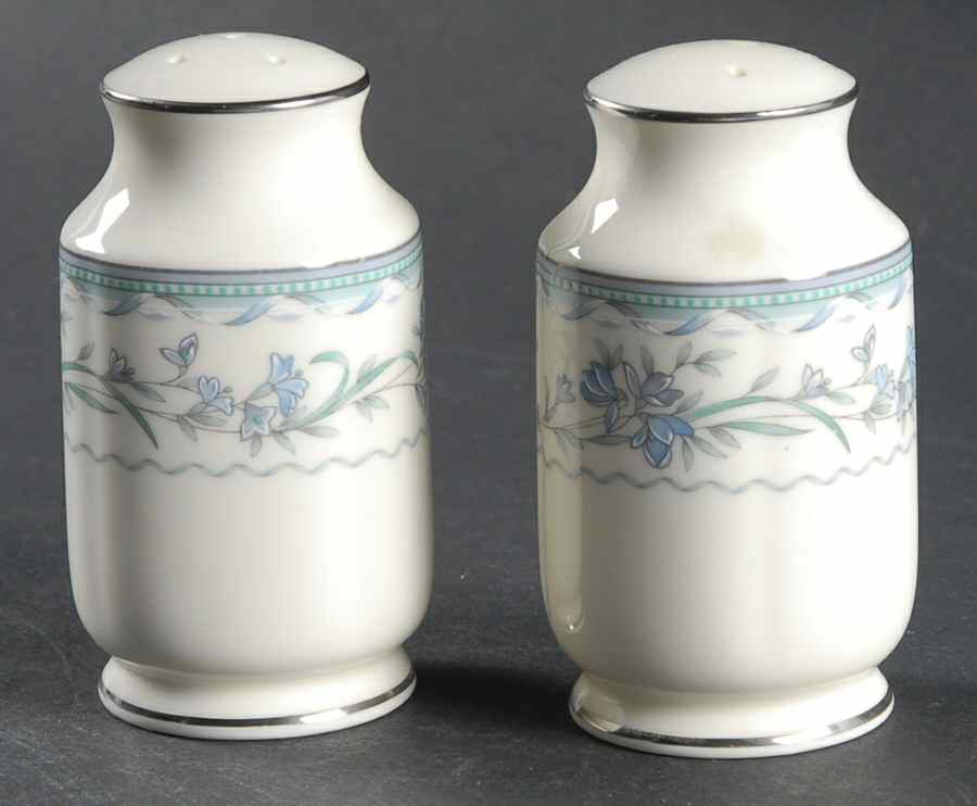 Williamston Salt & Pepper Set by Noritake-1