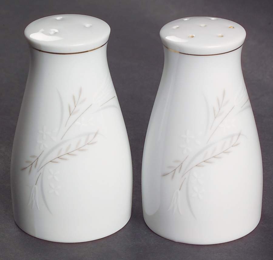 Windrift Salt & Pepper Set by Noritake-1