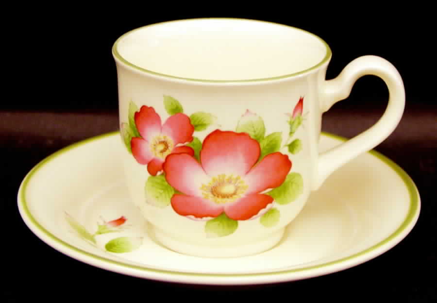 Wild Rose Footed Cup & Saucer Set by Noritake-1