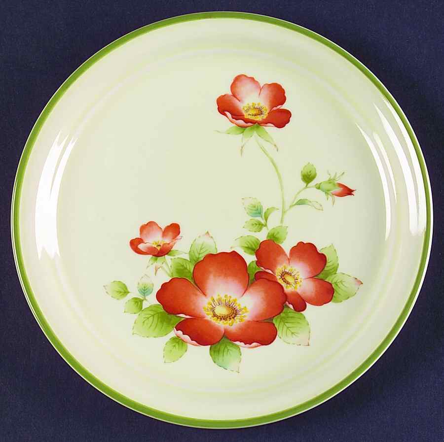 Wild Rose Salad Plate by Noritake-1
