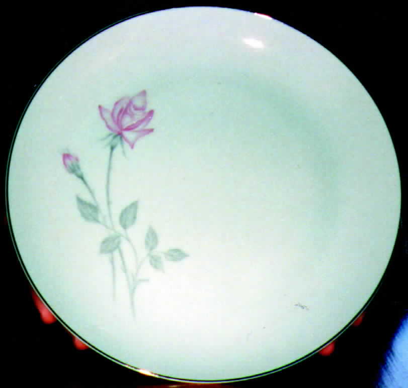 NAG6 Dinner Plate by Nagoya Shokai-1