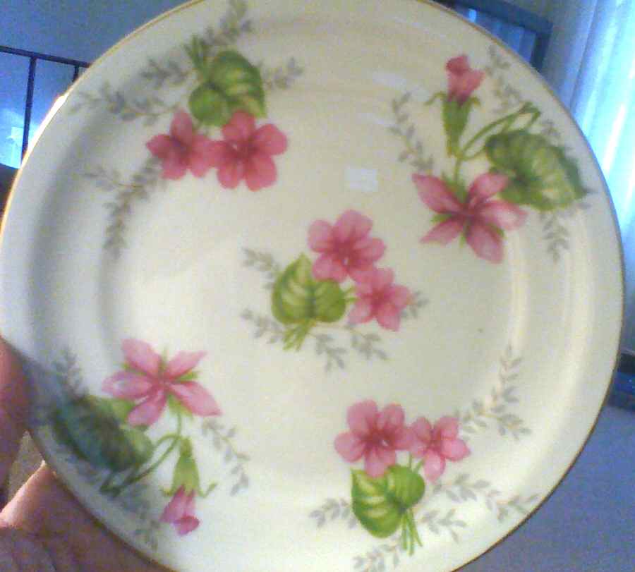 Pink Valley Salad Plate by Nagoya Shokai-1