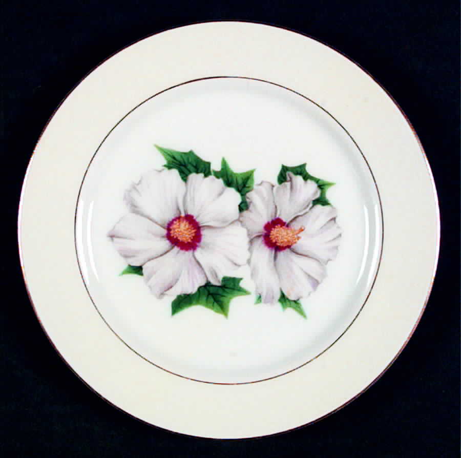 NAR9 Bread & Butter Plate by Narumi-1