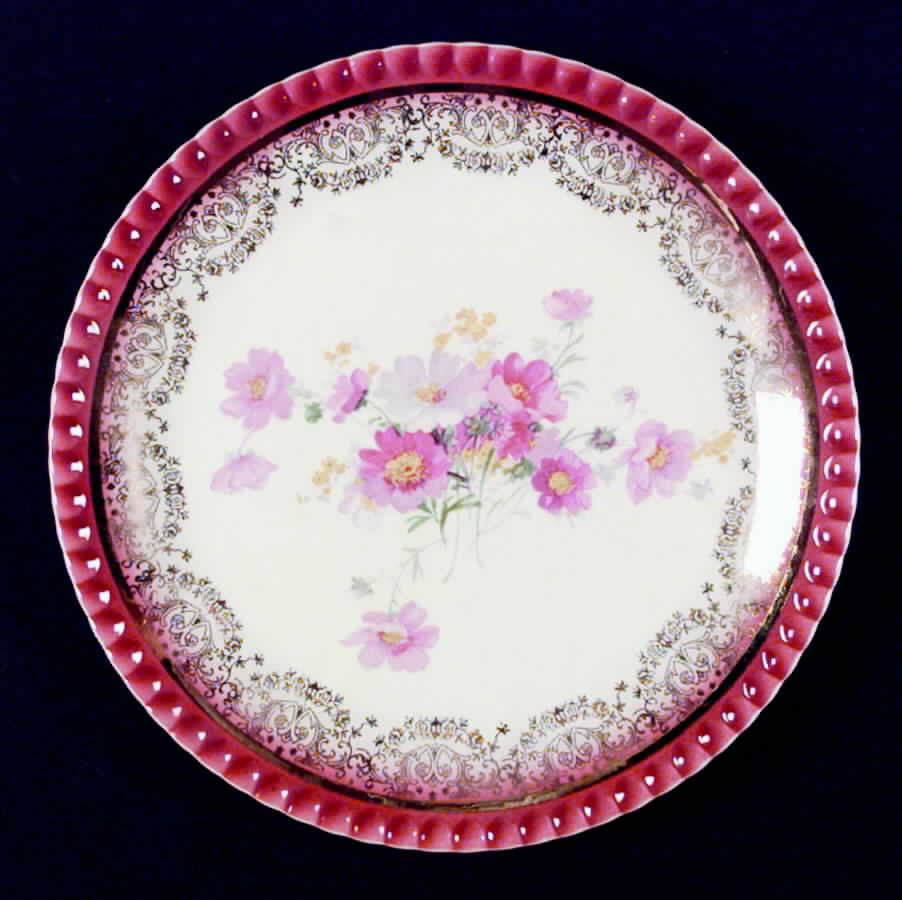 NAC19 Dinner Plate by Nasco China (USA)-1
