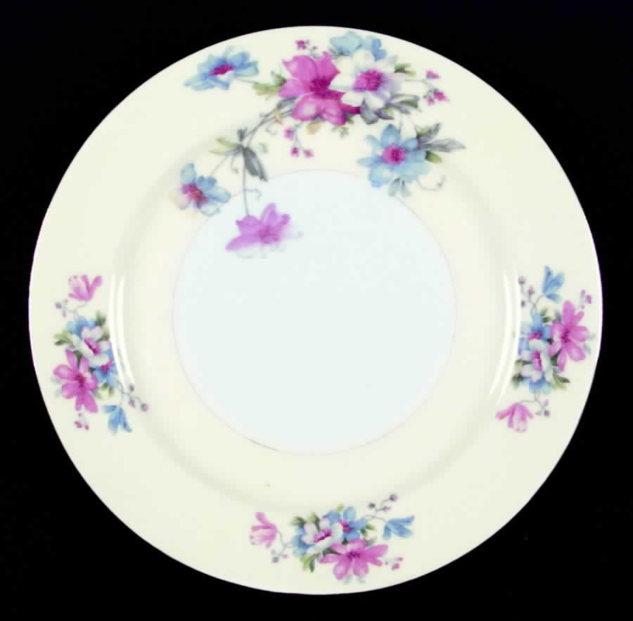 NAT13 Dinner Plate by National China-1