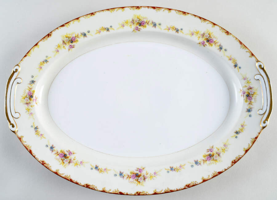 Wembley 16" Oval Serving Platter by National China-1