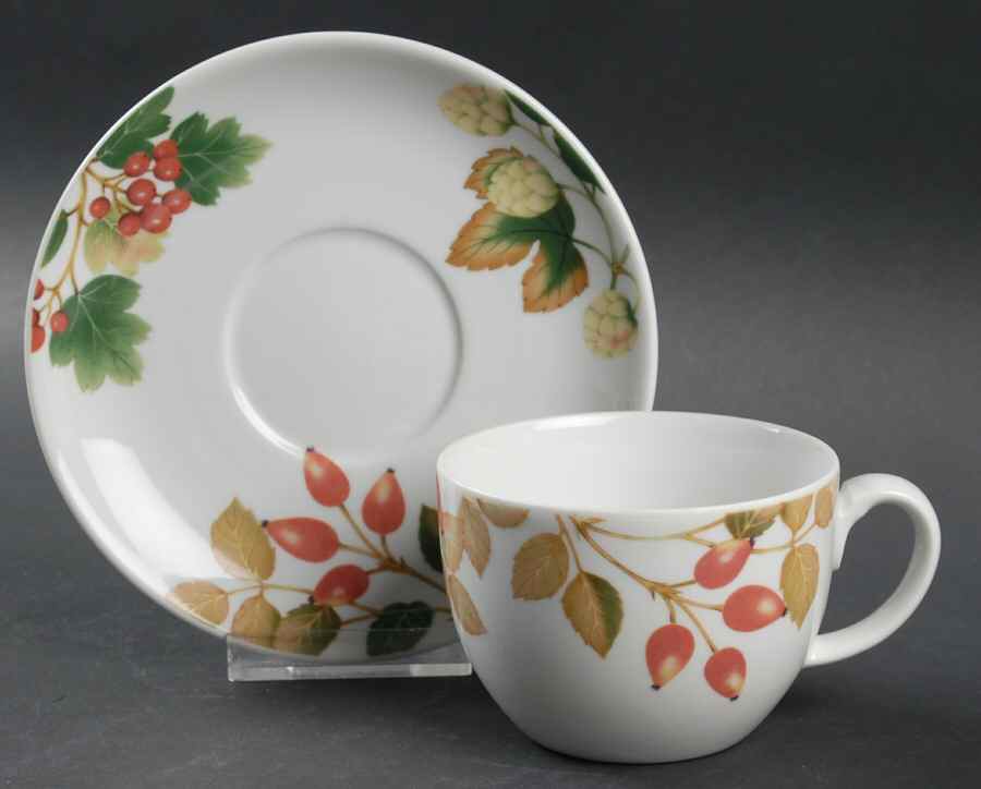 English Country Fruit Flat Cup & Saucer Set by Nancy Calhoun-1