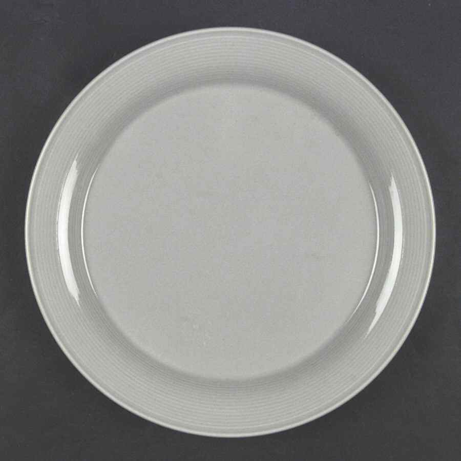 Solid Color Light Grey Dinner Plate by Nancy Calhoun-1