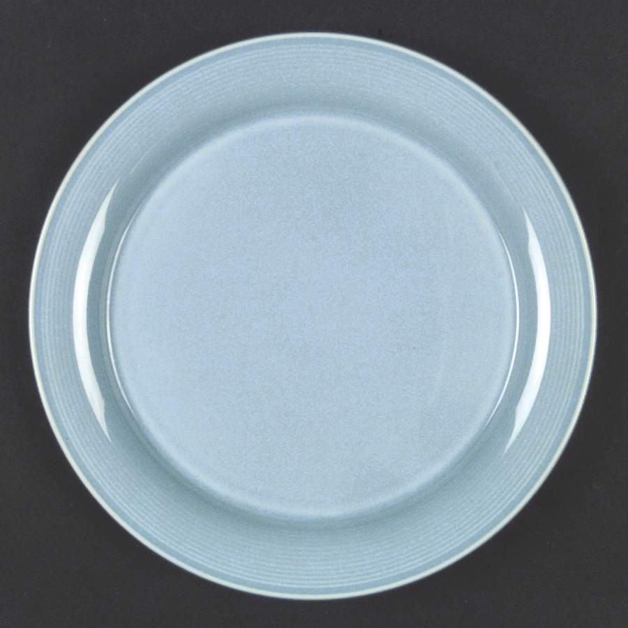 Solid Color Powder Blue Dinner Plate by Nancy Calhoun-1