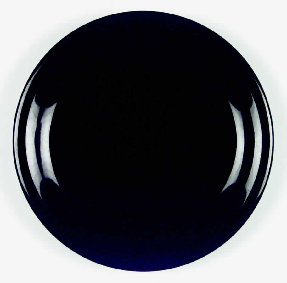 Bravo Black Dinner Plate by Newcor-1