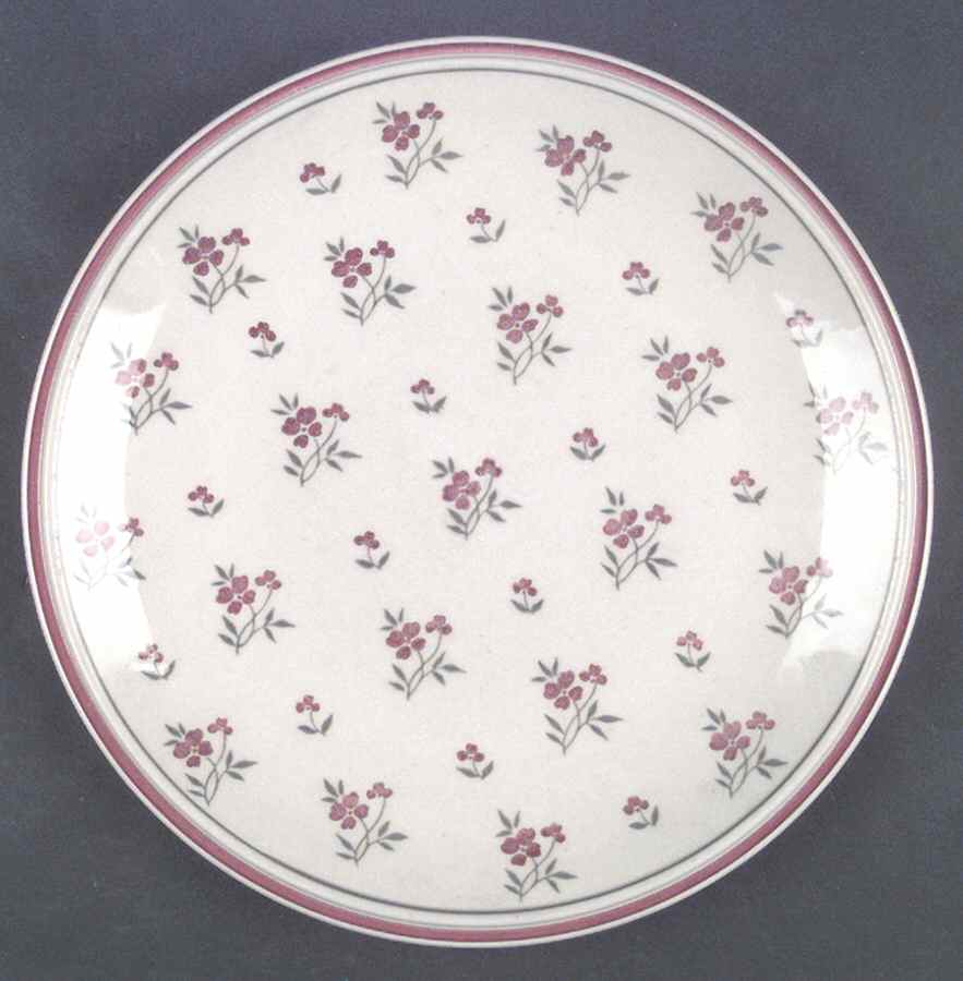 Cambridge Burgundy (No #) Dinner Plate by Newcor-1