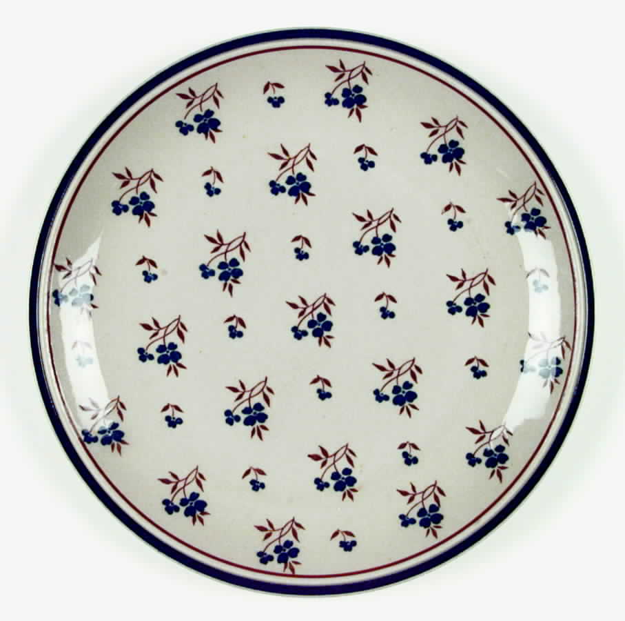 Cambridge Blue Dinner Plate by Newcor-1
