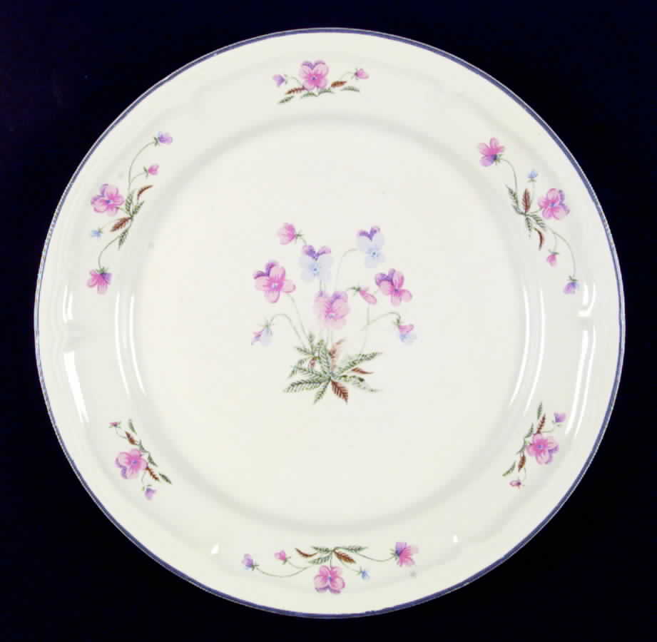 Cambridge Dinner Plate by Newcor-1