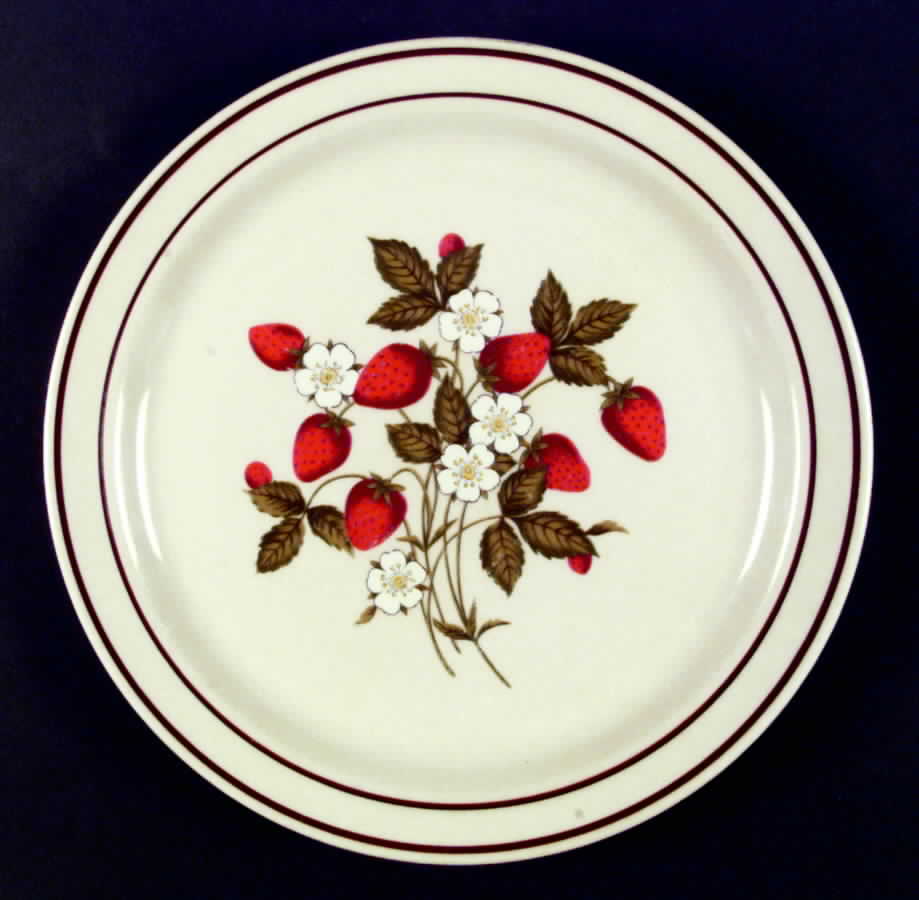 Susanne Dinner Plate by Newcor-1
