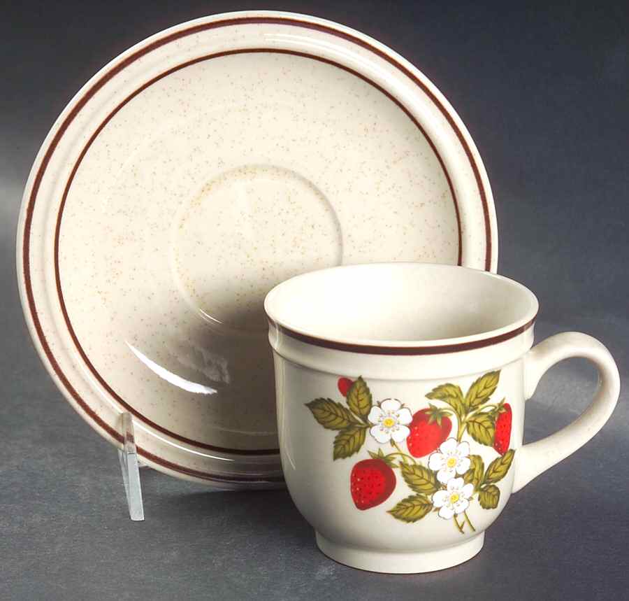 Susanne Flat Cup & Saucer Set by Newcor-1