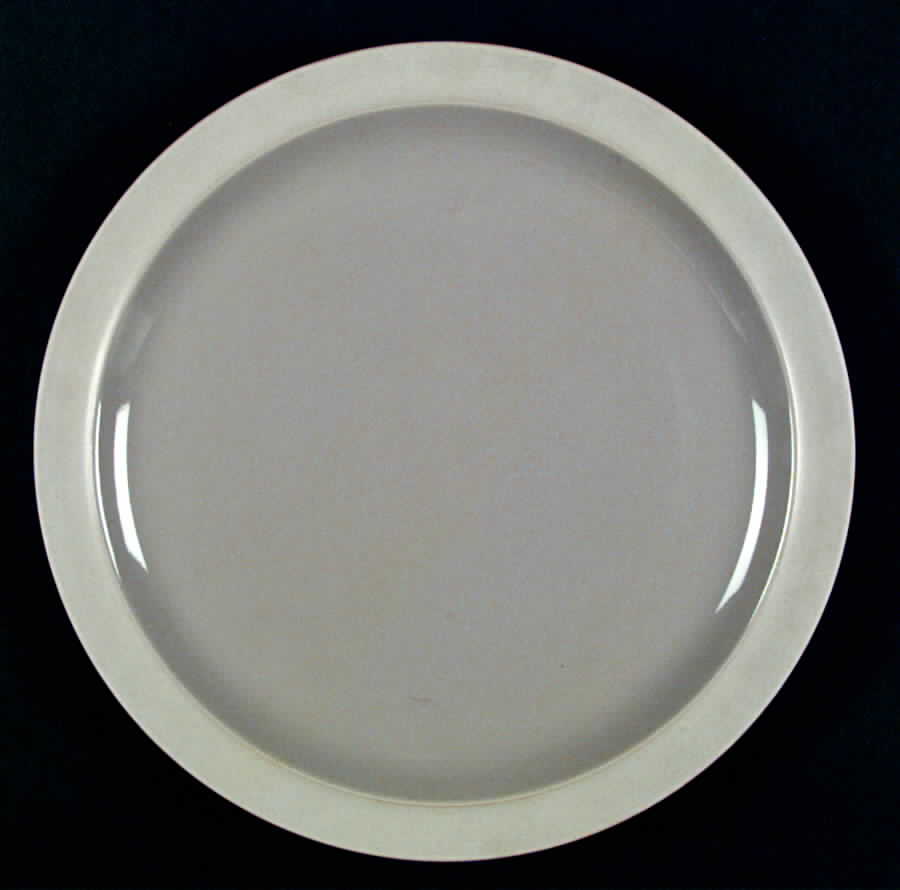 Vision Gray Dinner Plate by Newcor-1