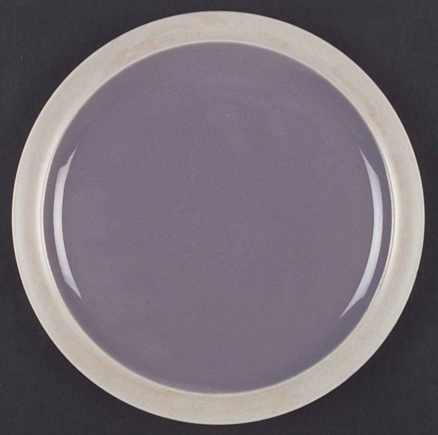 Vision Purple Dinner Plate by Newcor-1
