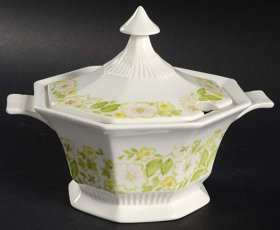 Aurora Sauce Boat No LId by Nikko-1