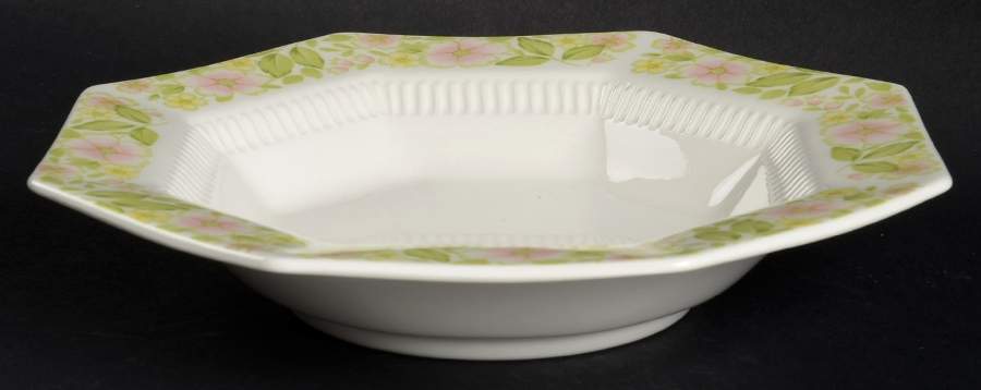 Aurora Rim Soup Bowl by Nikko-1