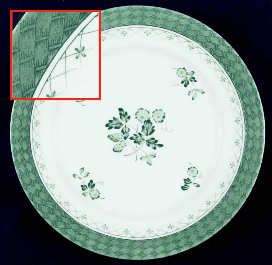 Braided Green Dinner Plate by Nikko-1